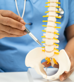 Spine | Neck | Cervical Treatment | Back Pain Treatment & Medical Yoga Center in Baner Balewadi